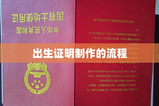 涿鹿出生证明制作的流程